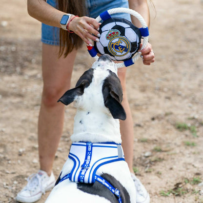 V3HF060AF440EEF430ED6DBA4AC614041DDR7021654P3