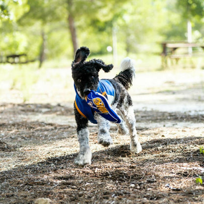 V3HDCF38C1D65592D9A0CC25902AC4F3C51R7021567P2