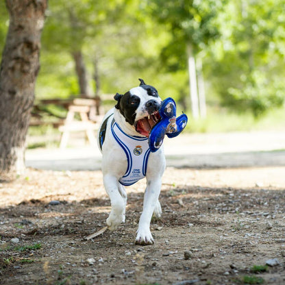 V3H4F45453E35495E783DDAD62643881888R7021663P3