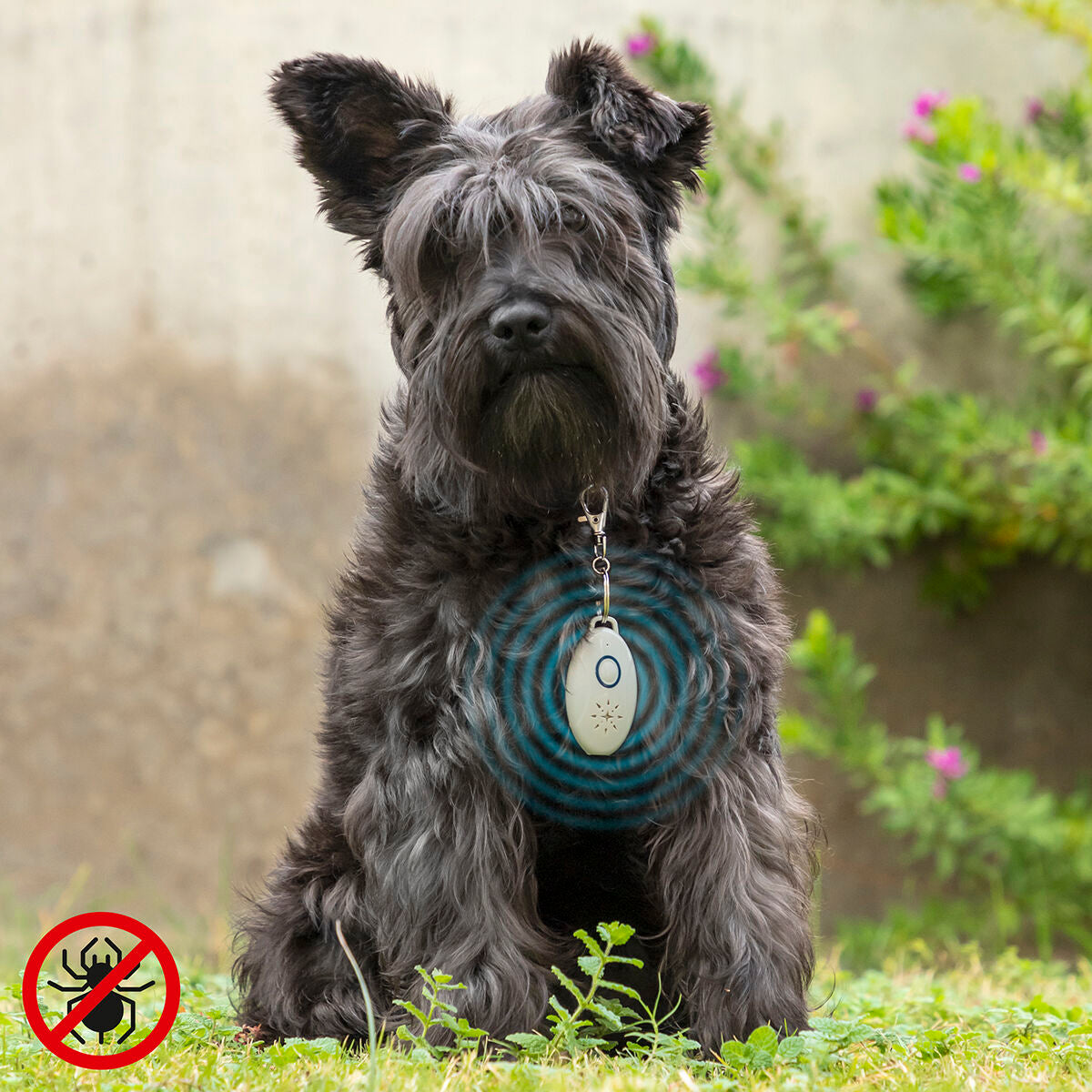 V14H2A9F32BA91D26E59C2A199C6FD9E8B13R5434219P1